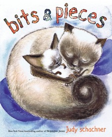Bits and Pieces by Judy Schachner