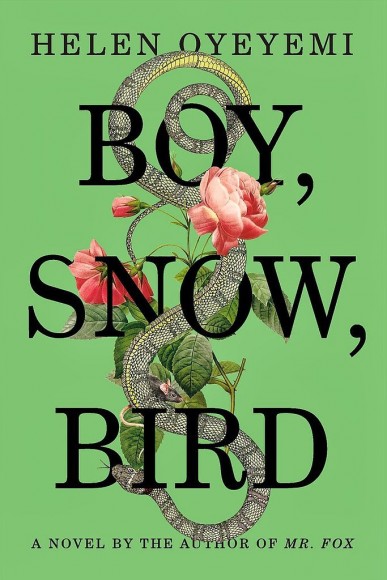Boy Snow Bird by Helen Oyeyemi
